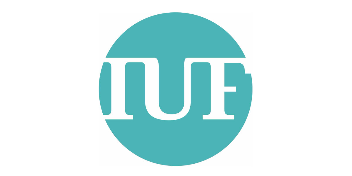 Institut Universitaire de France